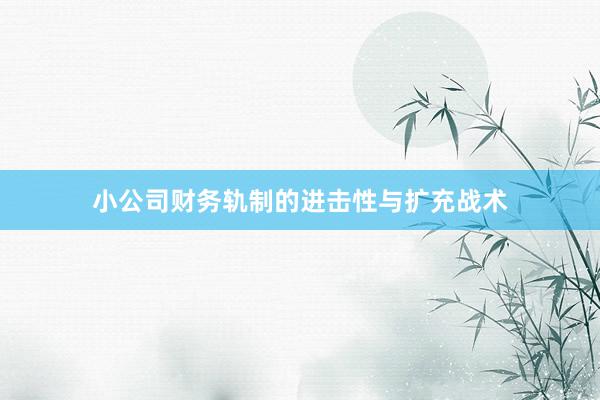 小公司财务轨制的进击性与扩充战术