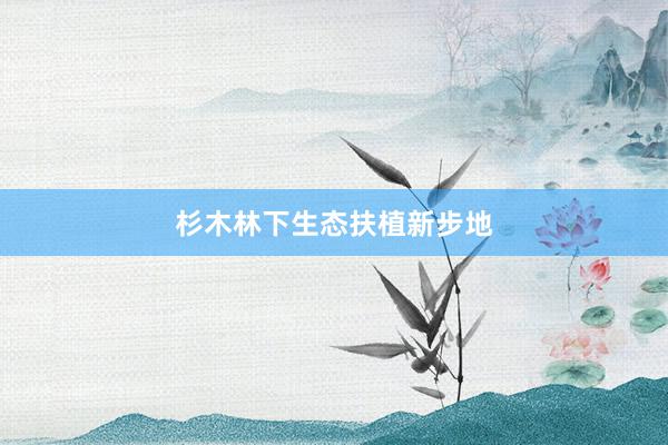 杉木林下生态扶植新步地
